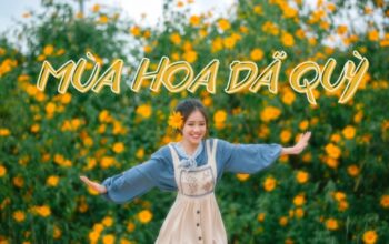 xr:d:DAFxGExJing:18,j:3041461507611632957,t:23101308